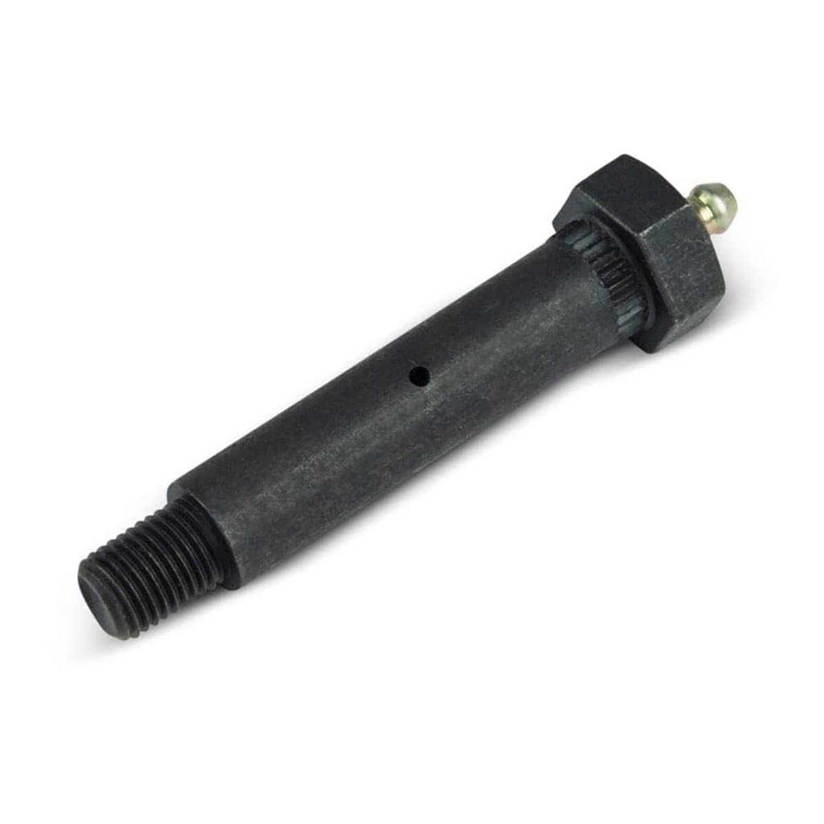 CUR-126197_01.jpg